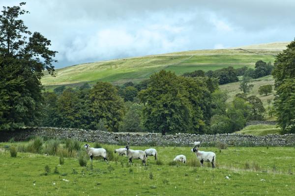 Land with 'development value' - is there any hope?