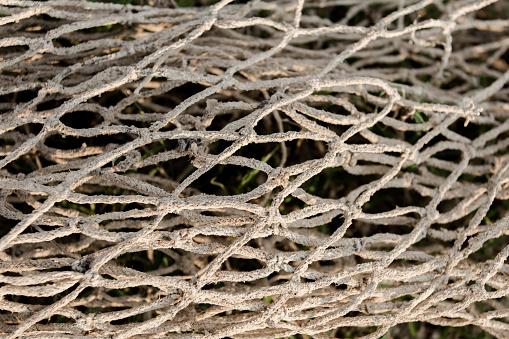 Inheritance Tax – can you escape the net?