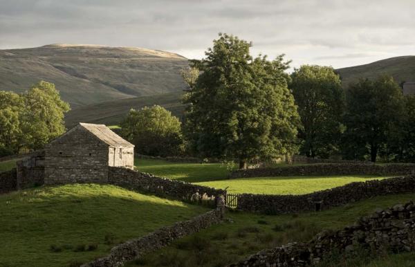 Womble Bond Dickinson has grown its private wealth team with a number of new appointments across the firm's UK offices. Five new lawyers and wealth professionals have joined the team in the past couple of months.