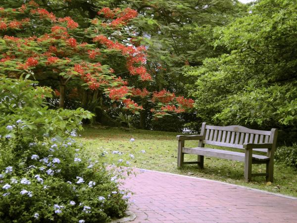 How will the leave vote affect property ownership, healthcare & taxation?