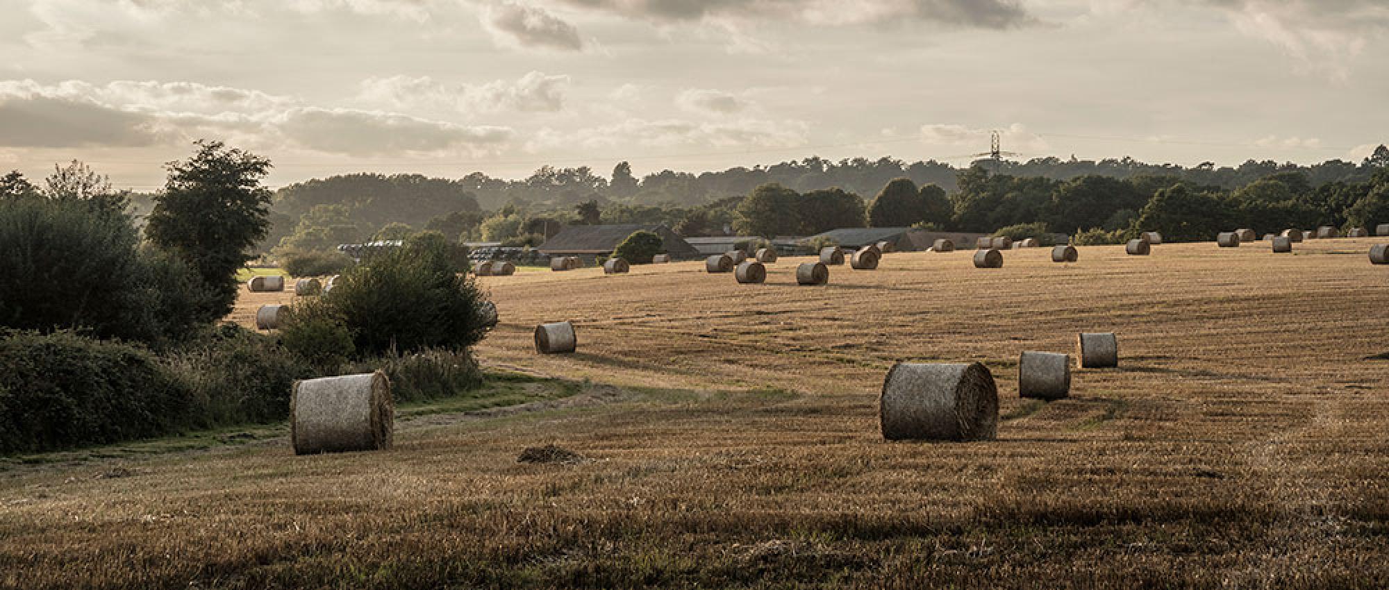Agriculture, Farms and Estates Banner