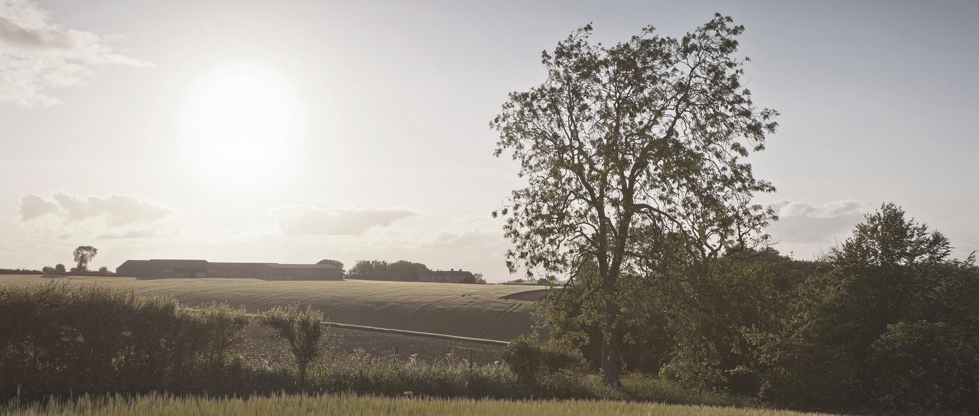 News and insights banner