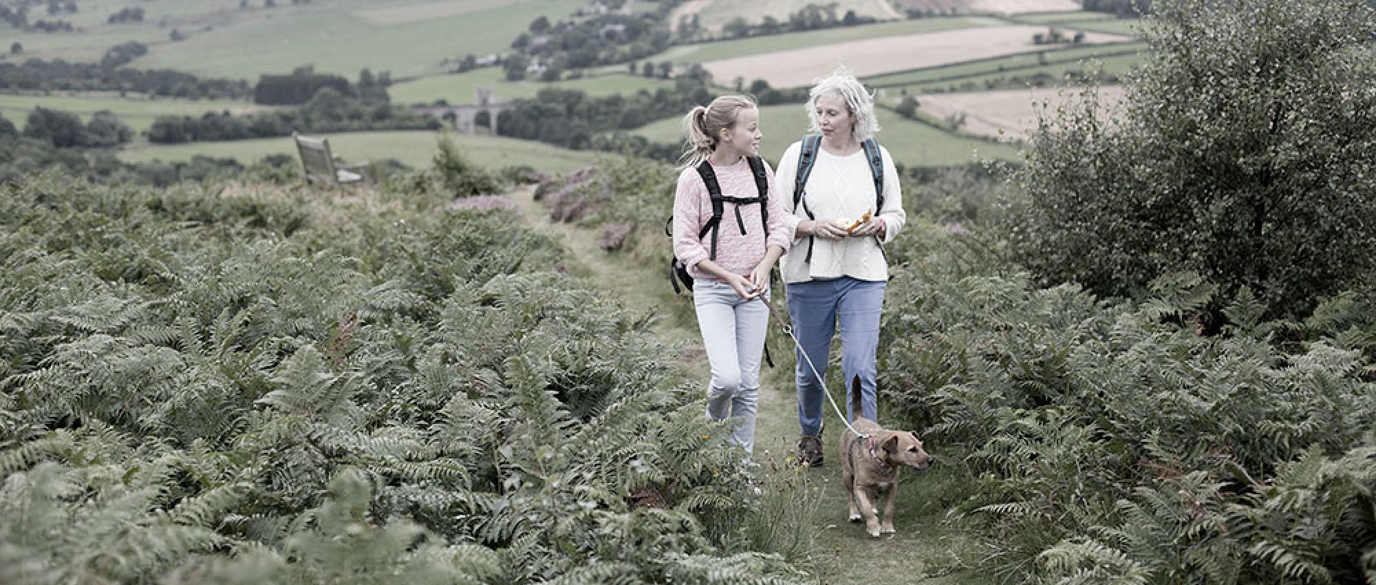 Wills, trusts and estate planning banner