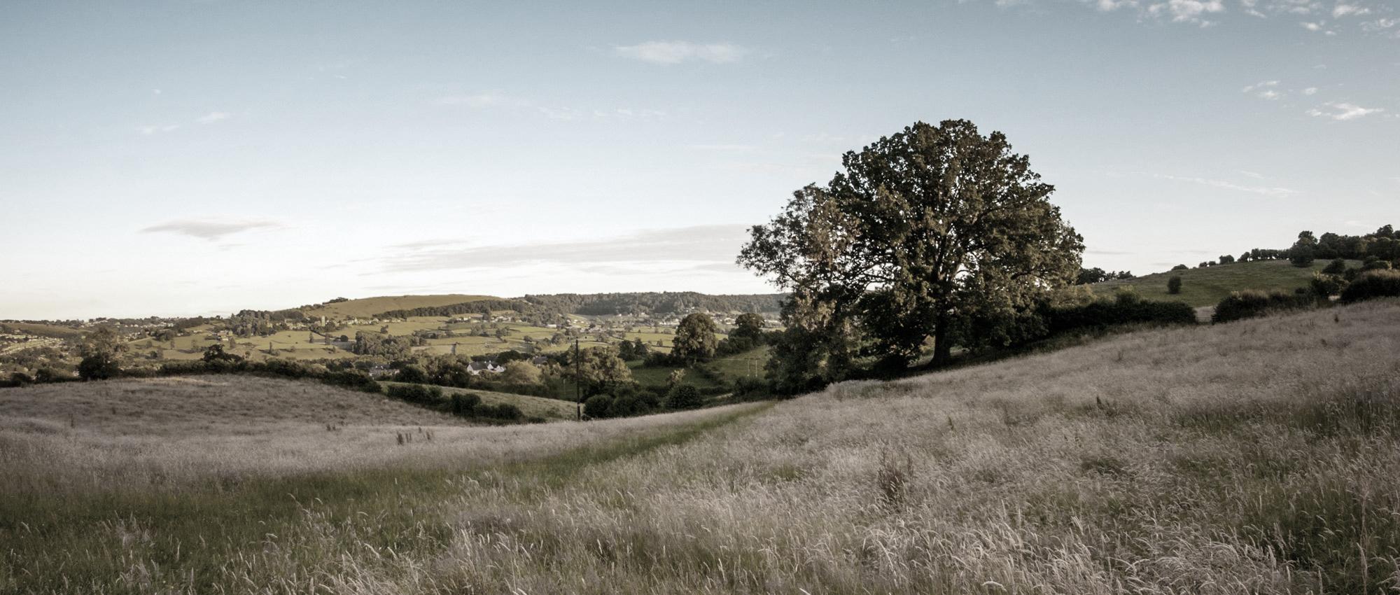 WEALTH OF EXPERIENCE