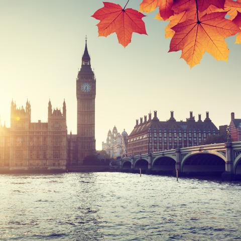 Autumn Statement: pensions - are there any changes?