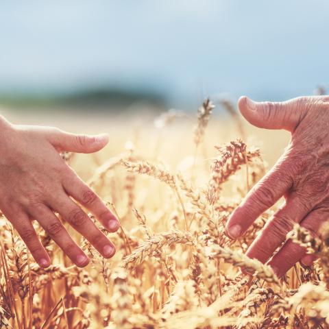 The importance of discussing the future of the family farm