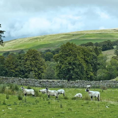 Land with 'development value' - is there any hope?