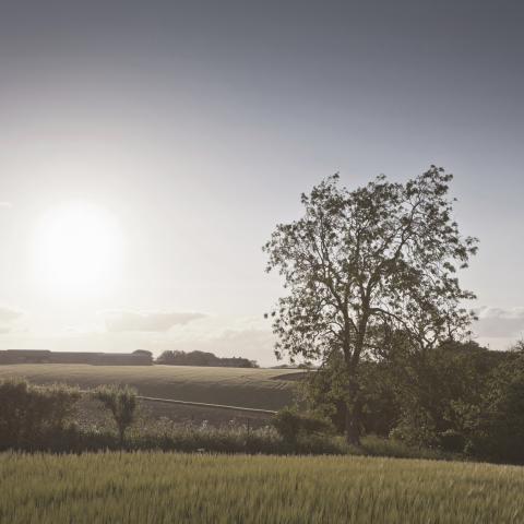 Private Wealth nomination