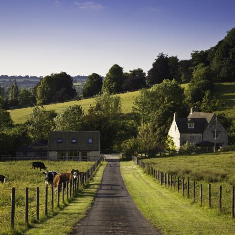 Extension of Agricultural Property Relief