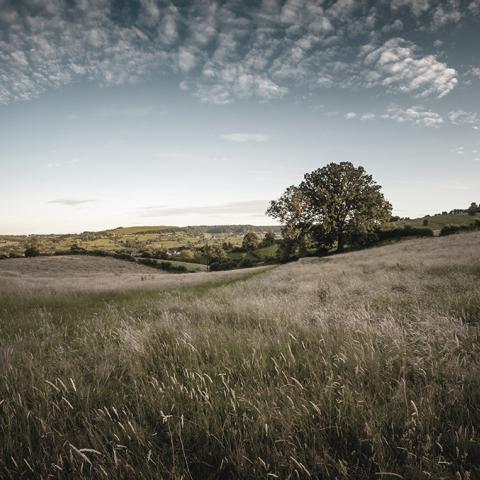 Crossing the border: wealth protection in England and Scotland