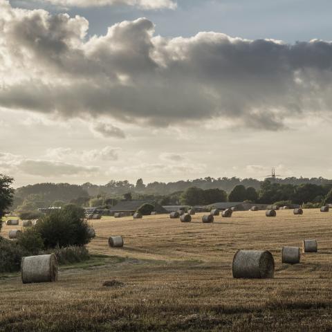 WBD praised for private wealth expertise in leading Chambers and Partners High Net Worth Guide 2020