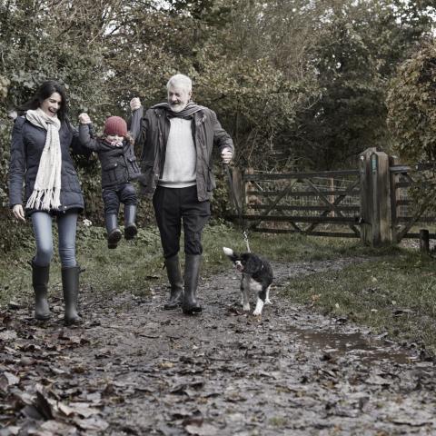 Private wealth family