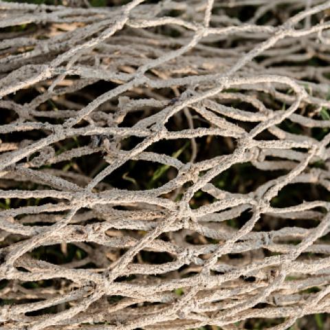 Inheritance Tax – can you escape the net?