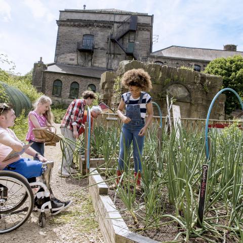 COVID-19: key themes for charities and not for profits