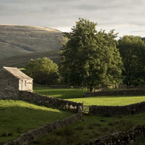 Womble Bond Dickinson has grown its private wealth team with a number of new appointments across the firm's UK offices. Five new lawyers and wealth professionals have joined the team in the past couple of months.