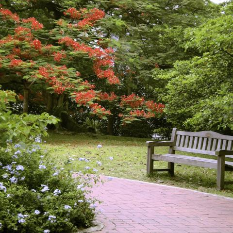 How will the leave vote affect property ownership, healthcare & taxation?