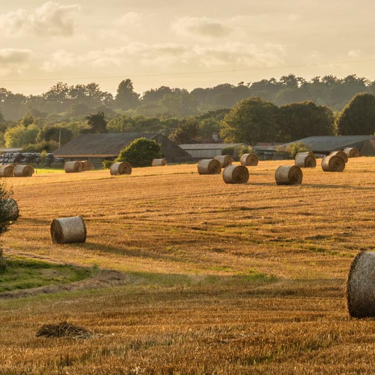  Agriculture, Farms and Estates