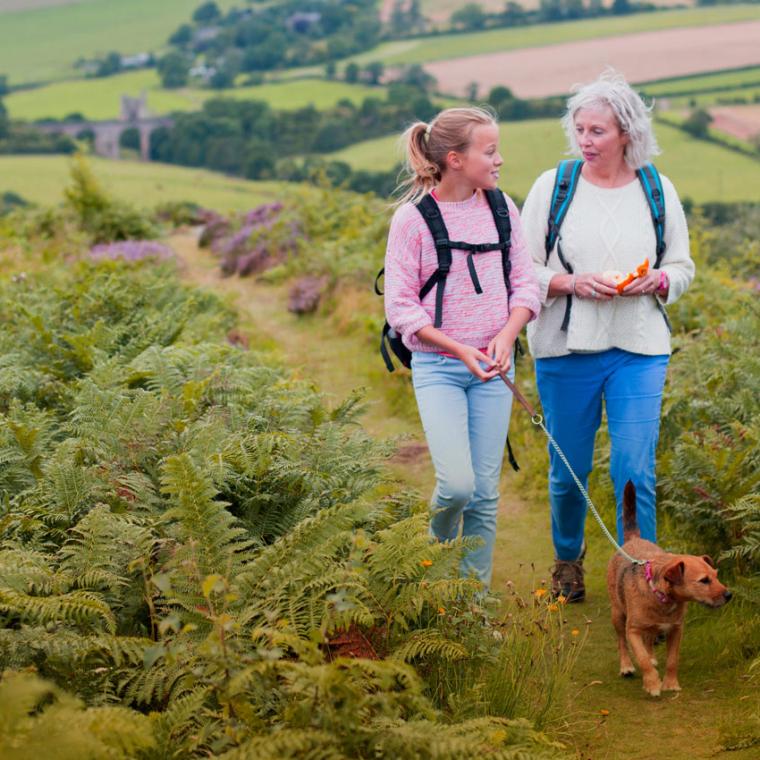 Wills, Trusts and Estate Planning